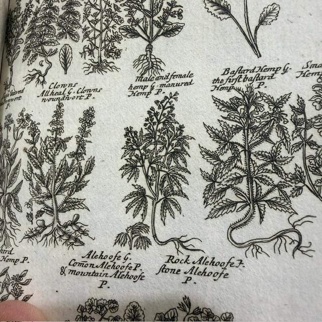 A Complete Herbal, Containing the Prints and The English Names of Several Thousand Trees, Plants, Shrubs, Flowers, exotics, etc. Many of Which are not to be found in the Herbals of either Gerard, Johnson, of Parkinson. Curiosly Engraved on 176 Copper-Plates. A New Edition. — photograph 10.