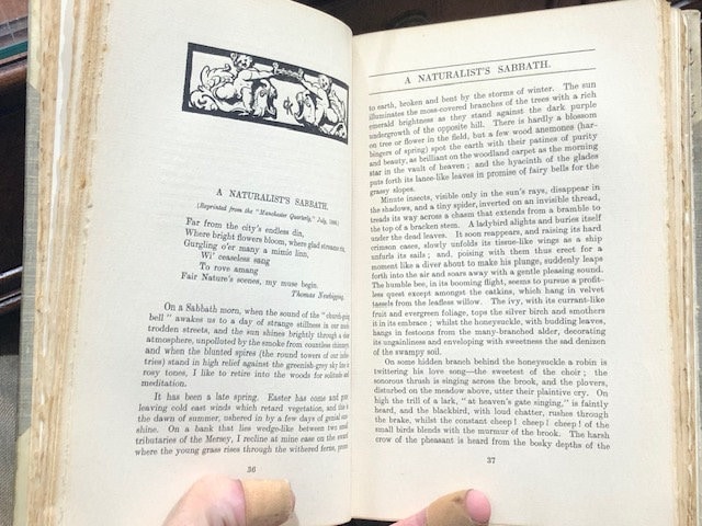 Selections From the Prose Verse & Sketches of the Late Thomas Kay of Stockport with Biographical Notes — photograph 9.