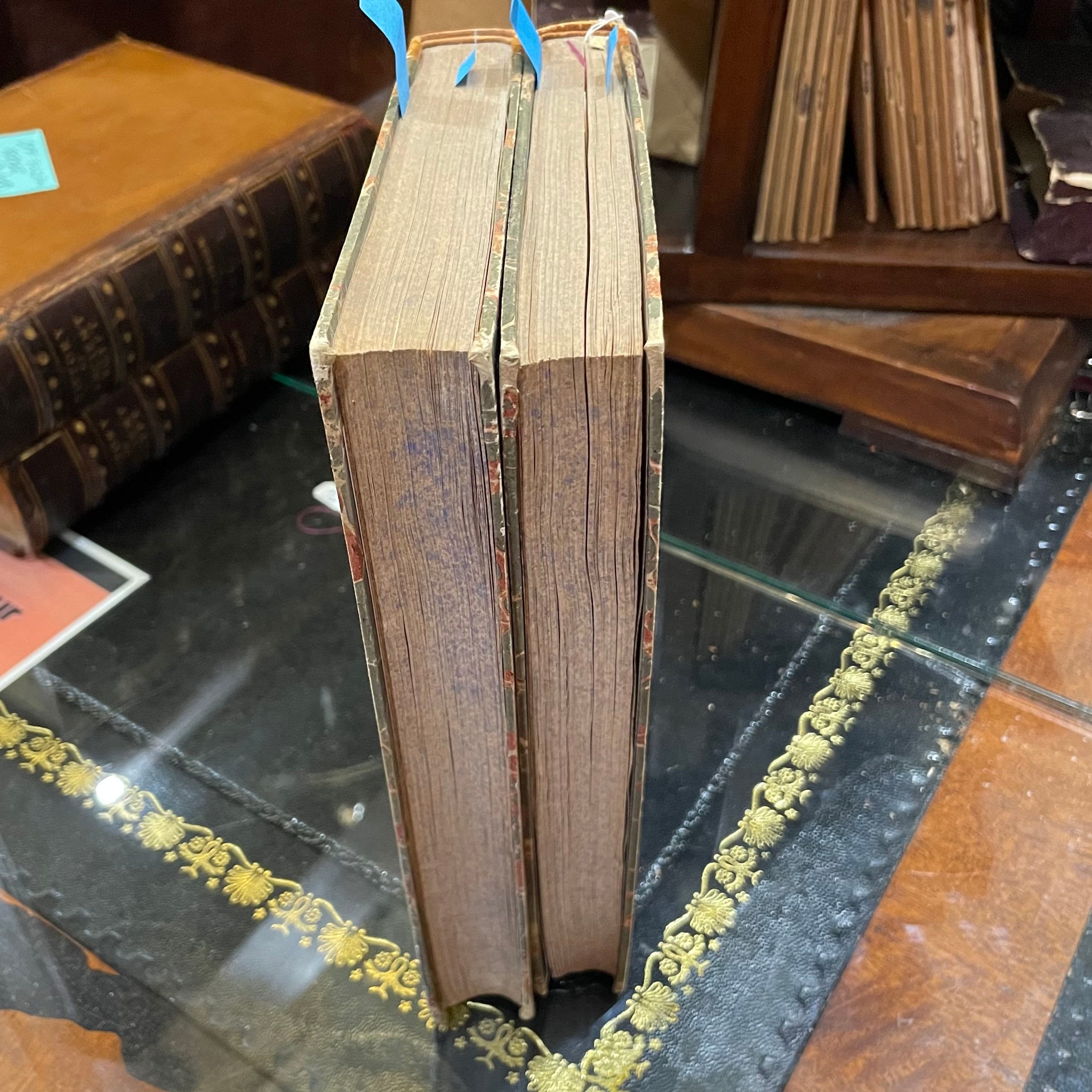 Viaggio Intorno al Globo alla California ed alle Isole Sandwich negli anni 1826, 1827, 1828 e 1829. GOOGLE TRANSLATION: Journey Around the Globe to California and the Sandwich Islands in the years 1826, 1827, 1828 and 1829. Translated from the French to Italian by Carlo Botta. — photograph 2.