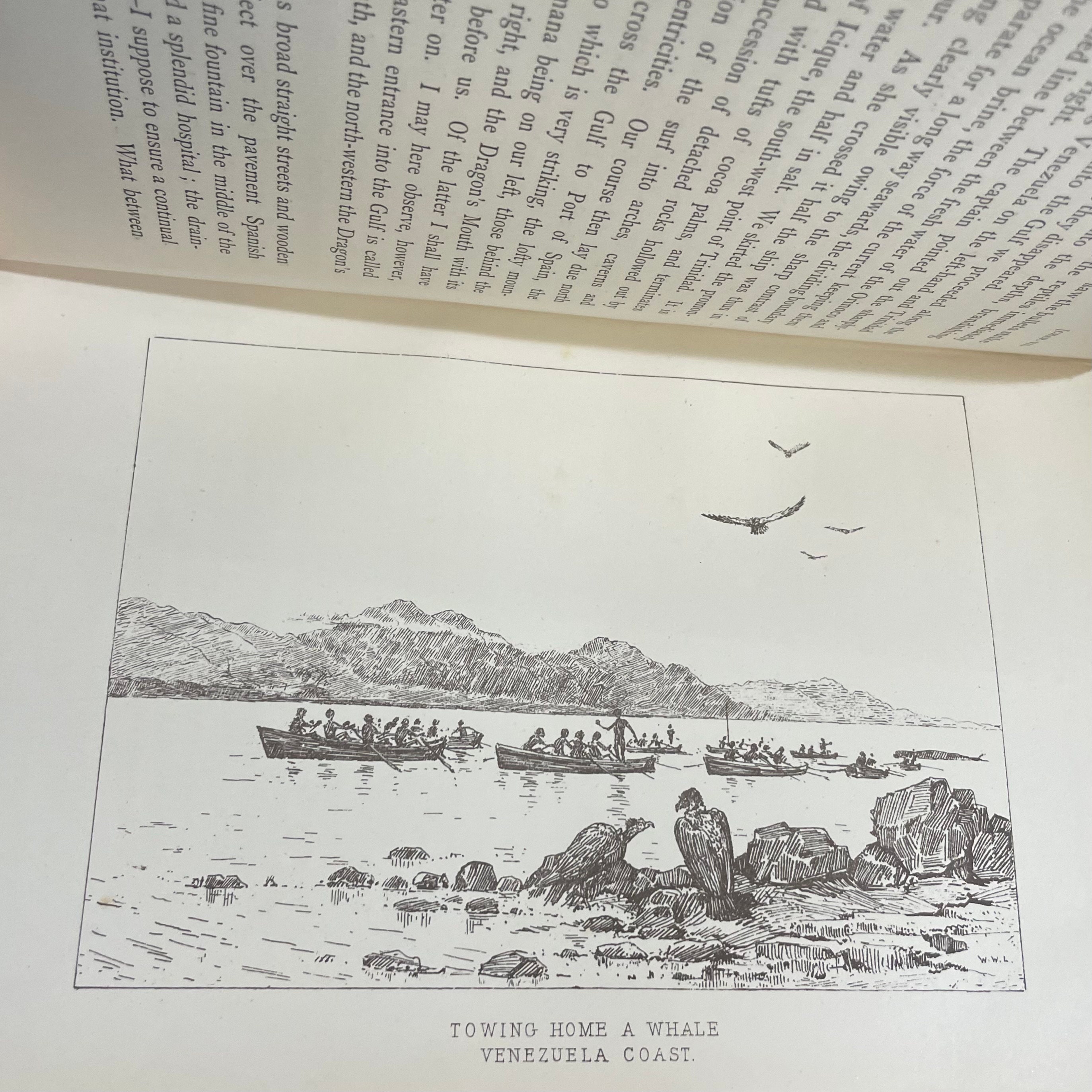 Adventures Amidst the Equatorial Forests and Rivers of South America; Also in the West Indies and the Wilds of Florida. To Which is Added "Jamaica Revisited" With Many Illustrations and Maps — photograph 4.