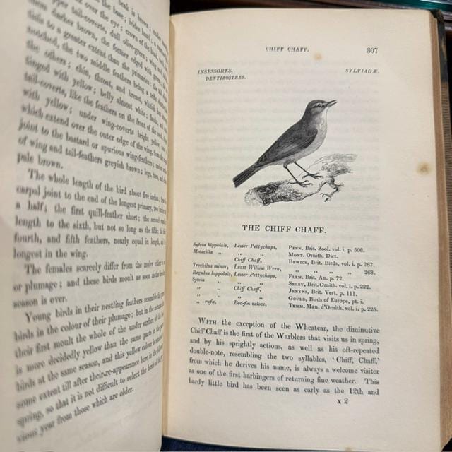 A History of The British Birds. Illustrated By 520 Wod-Engravings, In Three Volumes — photograph 9.