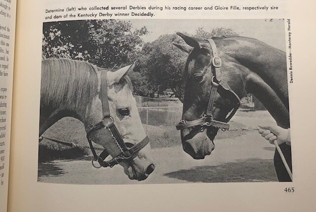 Horse Racing. History of Thoroughbred Racing in America. First Edition ...