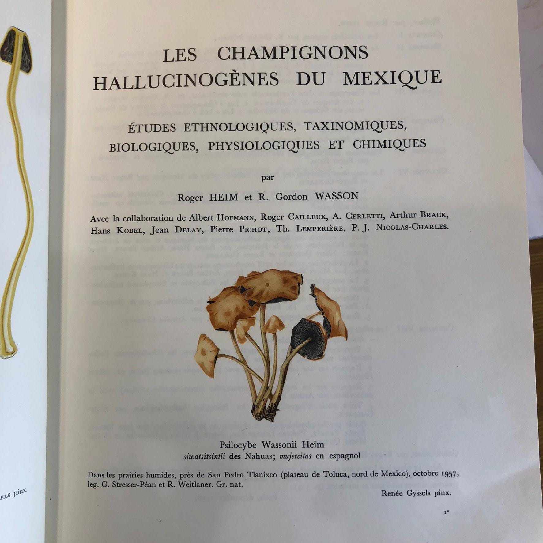 Les Champignons Hallucinogenes Du Mexique (Trans French: Hallucinogenic Mushrooms from Mexico) — photograph 2.