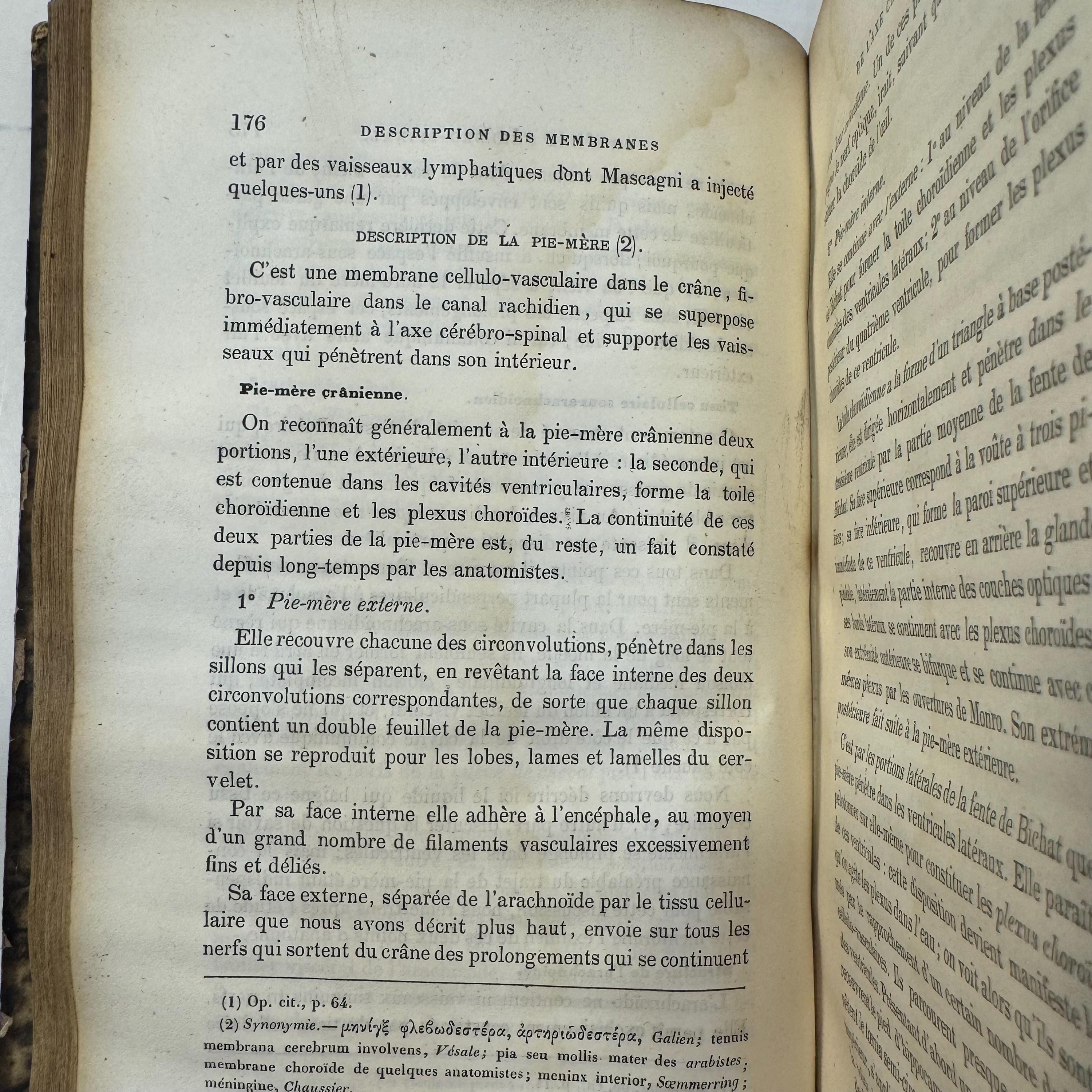 Anatomie et Physiologie du Systeme Nerveux. Translation: Anatomy and Physiology of the Nervous System — photograph 4.