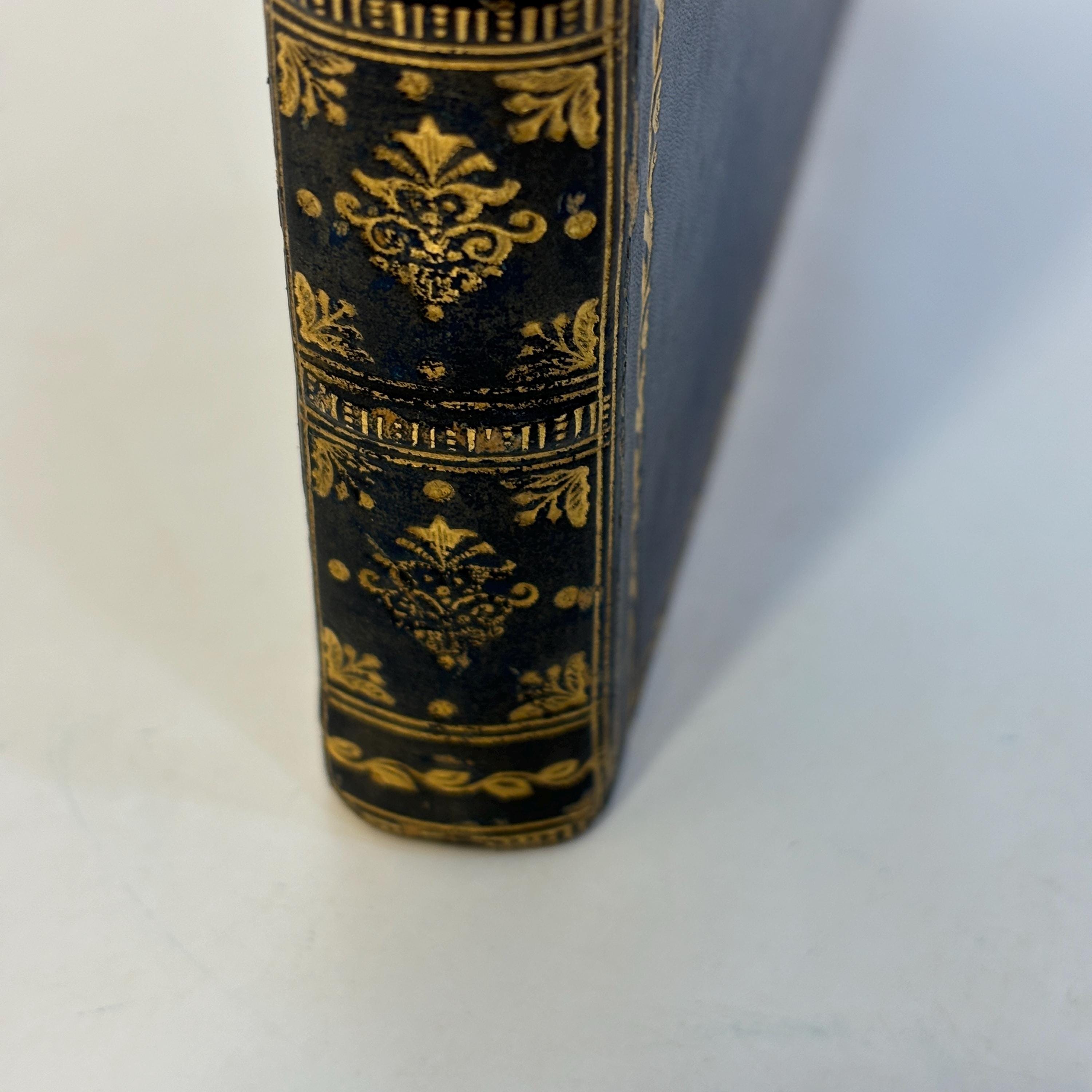 Latin Literature. Second Edition, Revised. Prize Binding. Signed Binding of Relfe Brothers — photograph 9.