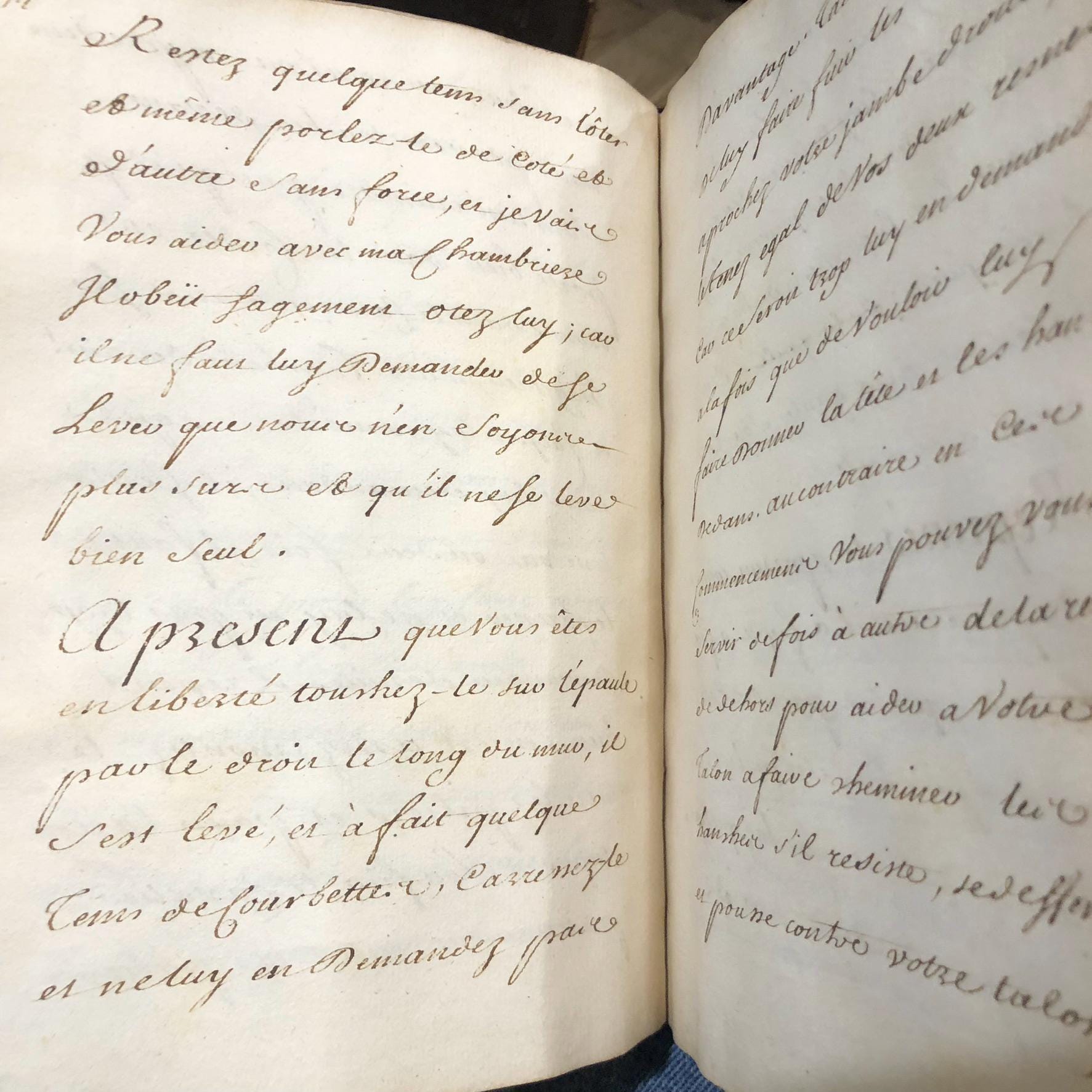 French manuscript on Equestrian Education, c.18 century, 193 pp. — photograph 9.