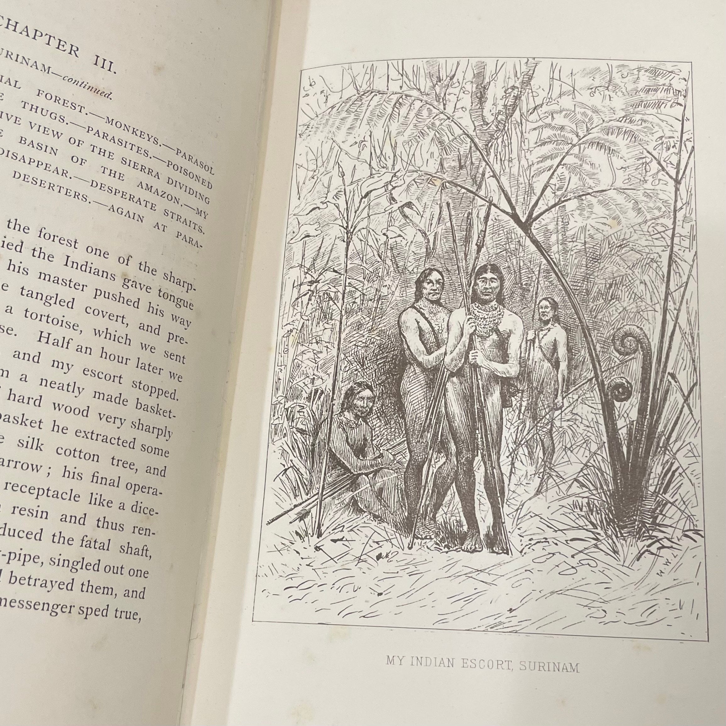 Adventures Amidst the Equatorial Forests and Rivers of South America; Also in the West Indies and the Wilds of Florida. To Which is Added "Jamaica Revisited" With Many Illustrations and Maps — photograph 3.