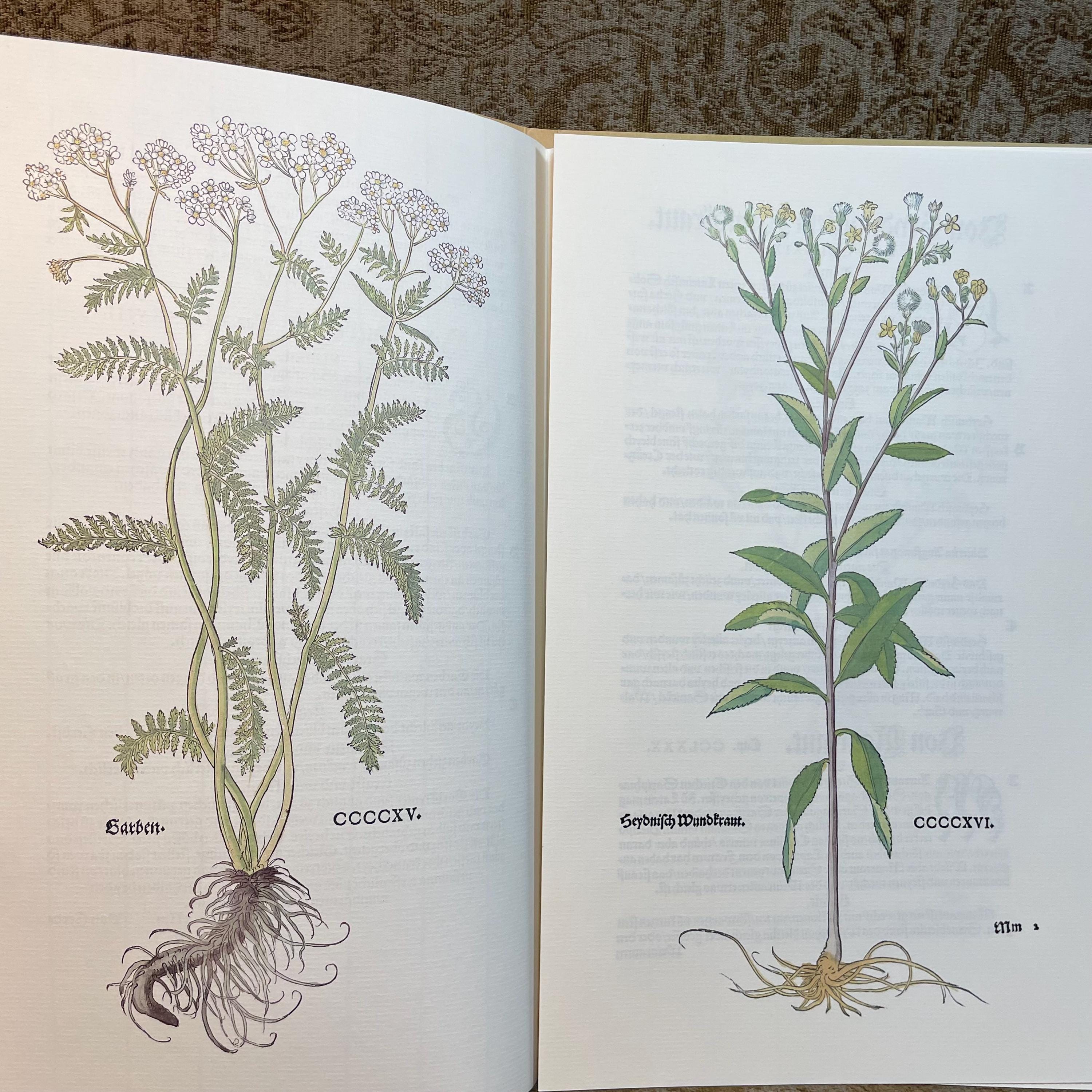 New Kreuterbuch Im Jar MDXLIII, Dokumentation zur Faksimileausgabe. Translated: New Herbal Book in the Year 1543, Documentation for the Facsimile Edition. — photograph 5.