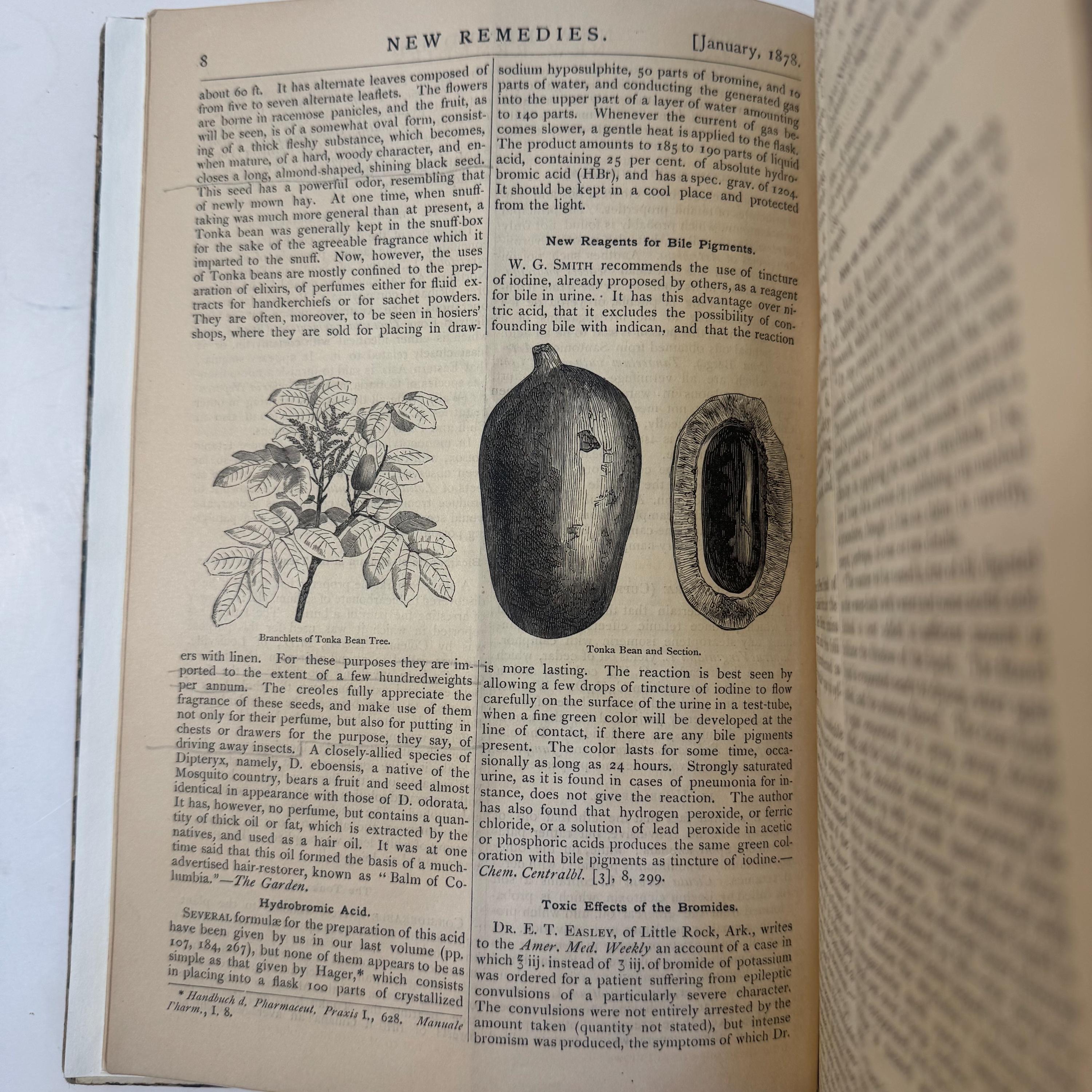 New Remedies, and Illustrated Monthly Trade Journal of Materia Medica, Pharmacy and Therapeutics, Vol. VII — photograph 8.