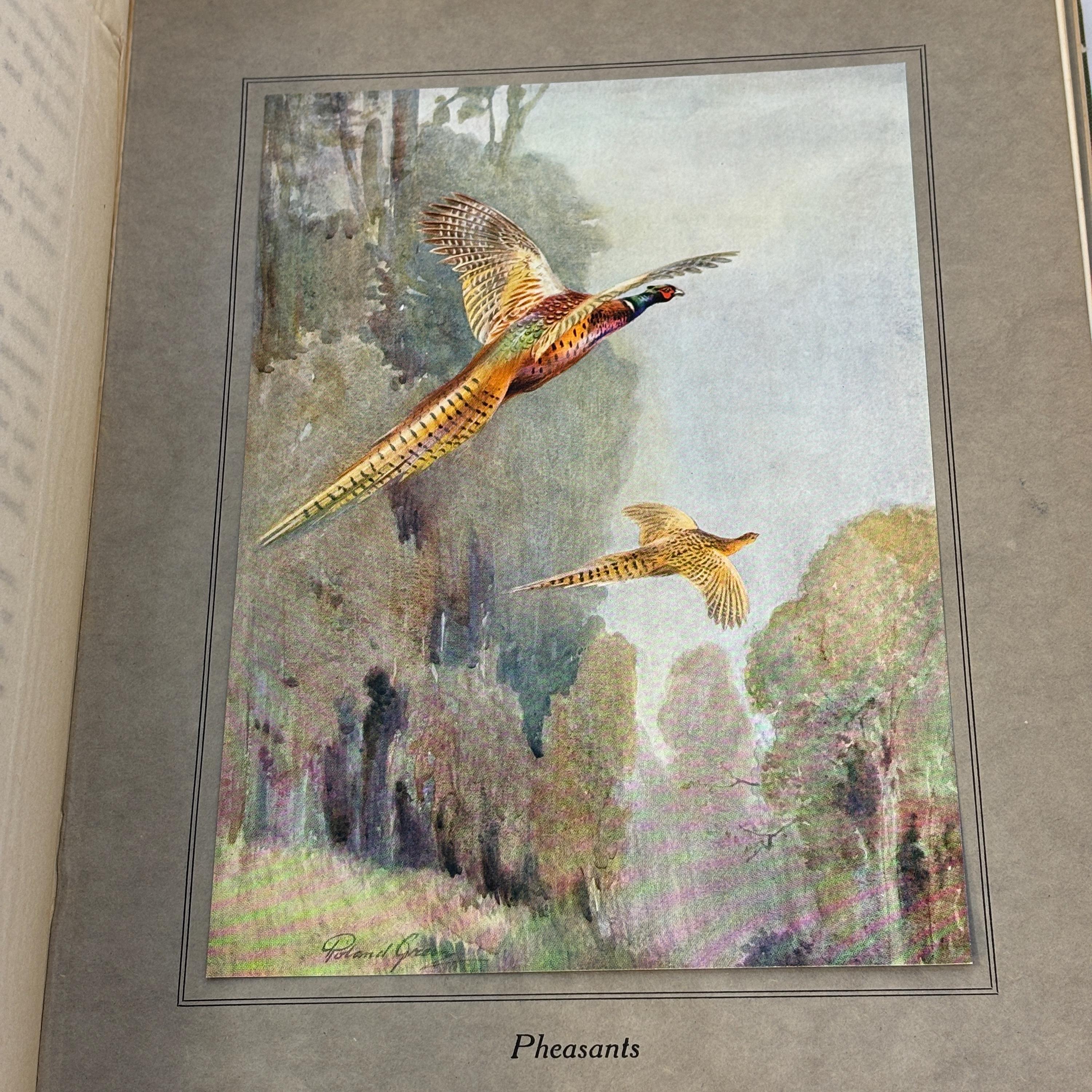 Birds In Flight. Illustrated by Roland Green — photograph 7.