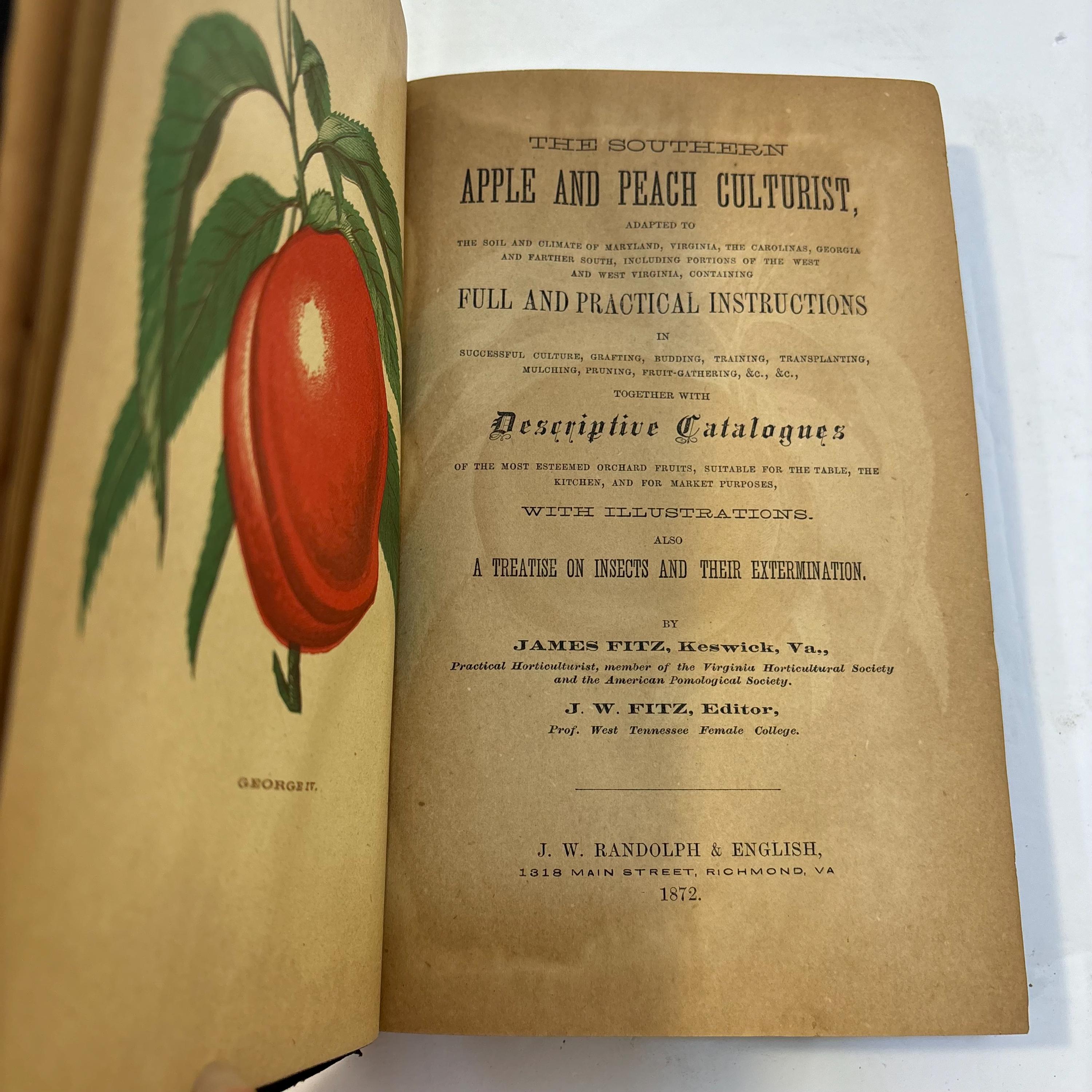 The Southern Apple and Peach Culturist, Adapted to The Soil and Climate of maryland, Virginia, the Carolinas, Georgia and Farther South, Including Portions of thee West and West Virginia, Containing Full and Practical Instructions in Successful Culture, Grafting, Budding, Training, Transplanting, Mulching, Pruning, Fruit-Gathering, &c., &c., Together With Descriptive Catalogues of The Most Esteemed Orchard Fruits, Suitable for the Table, the Kitchen, and For Market Purposes, With Illustrations. Also A Treatise on Insects and Their Extermination. — photograph 3.