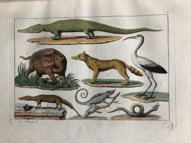 Il Costume Antico e Moderno o Storia del governo, della milizia, della religione, delle arti, scienze ed usanze di tutti i popoli antichi e moderni, provata coi monumenti dell'antichità e rappresentata cogli analoghi disegni. GOOGLE TRANSLATION: The Ancient and Modern Costume or History of the government, militia, religion, arts, sciences and uses of all ancient and modern peoples. — photograph 8.