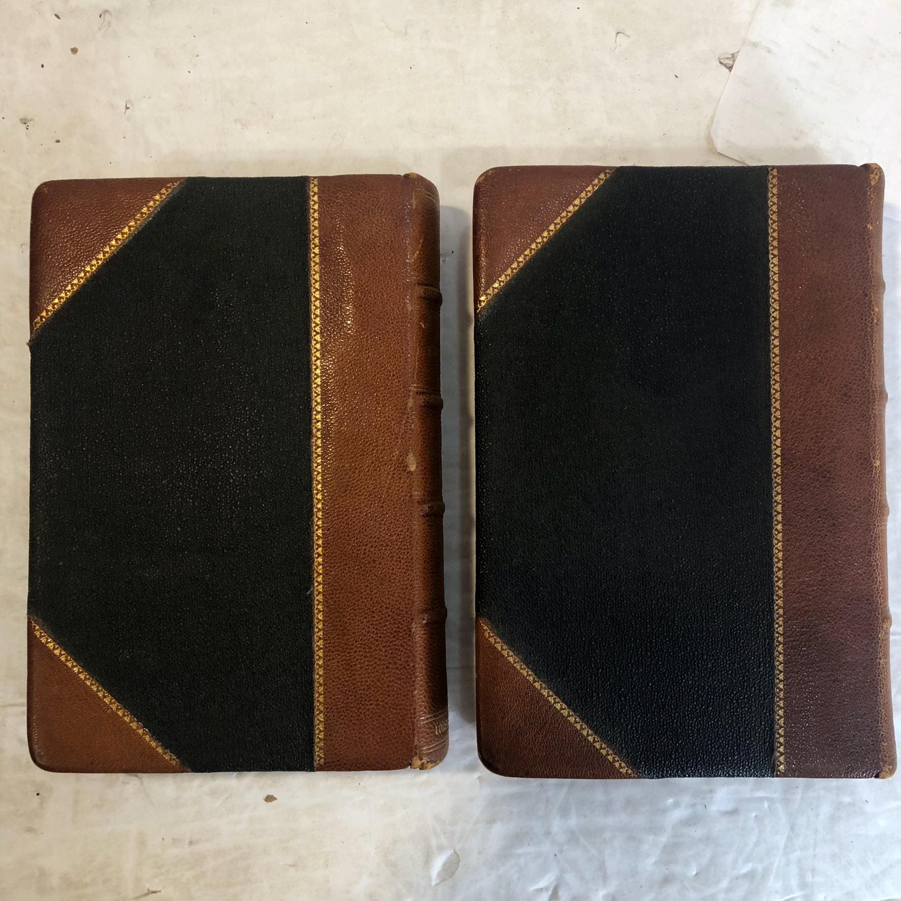 First Two Volumes of Edgar Rice Burroughs Pellucidar Series; At The Earth's Core, Pellucidar — photograph 10.