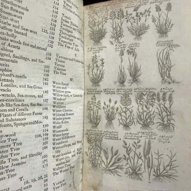 A Complete Herbal, Containing the Prints and The English Names of Several Thousand Trees, Plants, Shrubs, Flowers, exotics, etc. Many of Which are not to be found in the Herbals of either Gerard, Johnson, of Parkinson. Curiosly Engraved on 176 Copper-Plates. A New Edition. — photograph 6.
