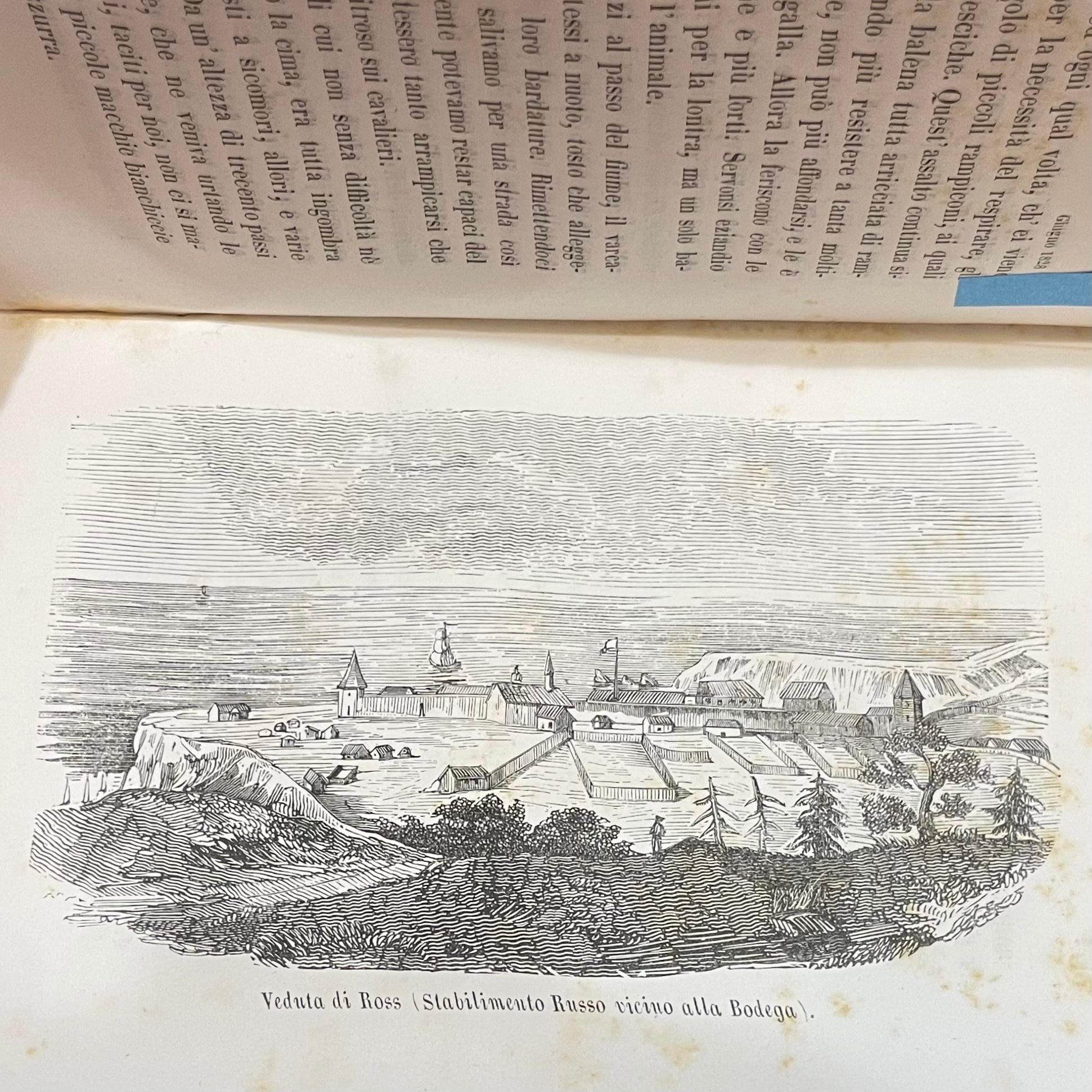 Viaggio Intorno al Globo alla California ed alle Isole Sandwich negli anni 1826, 1827, 1828 e 1829. GOOGLE TRANSLATION: Journey Around the Globe to California and the Sandwich Islands in the years 1826, 1827, 1828 and 1829. Translated from the French to Italian by Carlo Botta. — photograph 5.