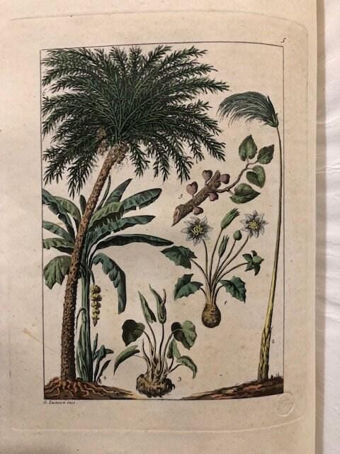 Il Costume Antico e Moderno o Storia del governo, della milizia, della religione, delle arti, scienze ed usanze di tutti i popoli antichi e moderni, provata coi monumenti dell'antichità e rappresentata cogli analoghi disegni. GOOGLE TRANSLATION: The Ancient and Modern Costume or History of the government, militia, religion, arts, sciences and uses of all ancient and modern peoples. — photograph 9.