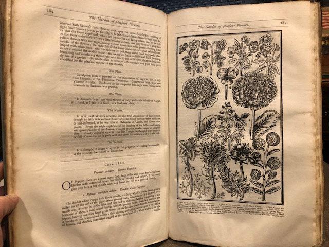 Paradisi In Sole Paradisus Terrestris Faithfully Reprinted from the Edition of 1629 — photograph 10.