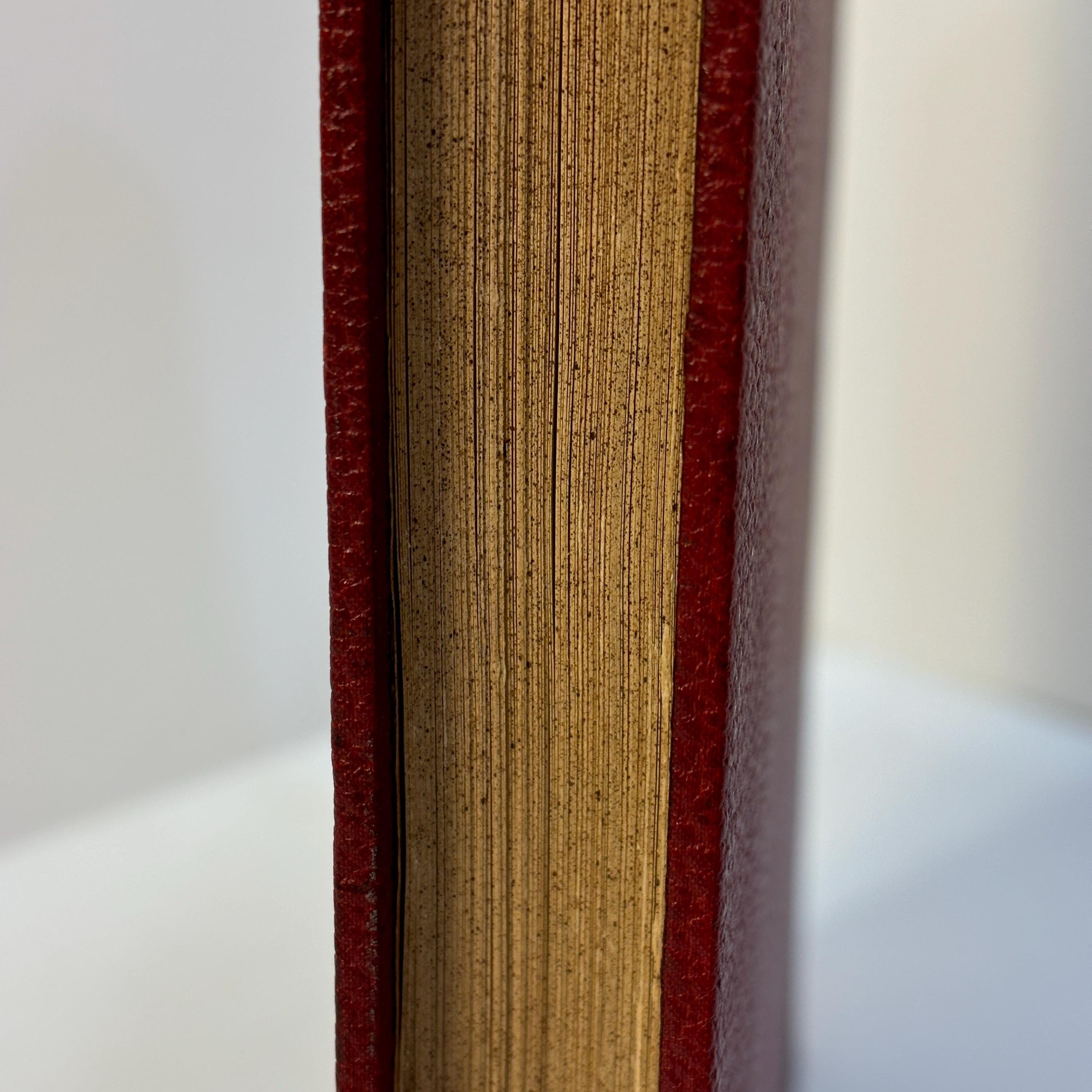 Atlas der Krankheiten der Nase, ihrer Nebenhöhlen und des Nasenrachenraumes. 363 Figuren auf 42 Tafeln Mit erläuterndem Text. Von Privatdocent Dr. P. H. Gerber Spezialarzt für Nasen-, Ohren- und Halskrankheiten in Königsberg i. Pr. Korrespondierendes Mitglied der Laryngologischen Gesellschaft zu Berlin und der französischen Gesellschaft für Otologie, Rhinologie und Laryngologie zu Paris. Translated: Atlas of the Diseases of the Nose, Its Accessory Sinuses and the Nasopharyngeal Cavity. 363 Illustrations on 42 Plates With Explanatory Text. By Privatdozent Dr. P. H. Gerber Specialist in Diseases of the Nose, Ears, and Throat in Königsberg, Prussia. Corresponding Member of the Laryngological Society of Berlin and of the French Society for Otology, Rhinology, and Laryngology in Paris. — photograph 6.
