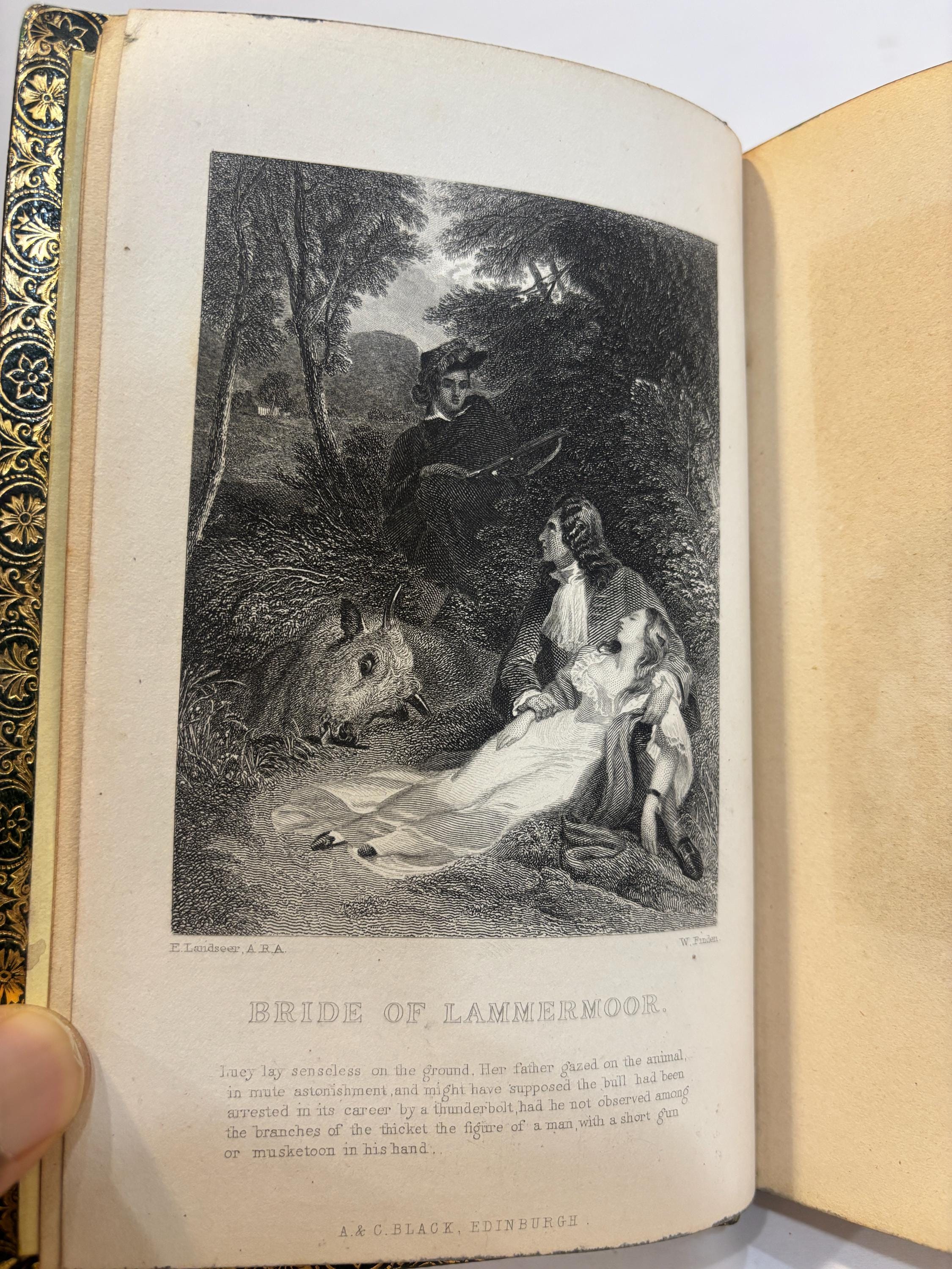 Bride of Lammermoor. 3 sided Fore-Edge Painting. Mr. Rushmore, Capitol, Washington Monument. — photograph 10.