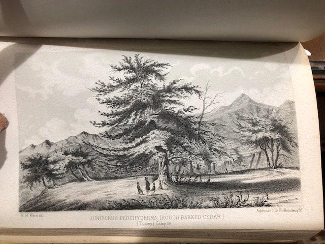 Report of an Expedition down the Zuni and Colorado Rivers, … Accompanied by Maps, Sketches, Views, and Illustrations — photograph 7.