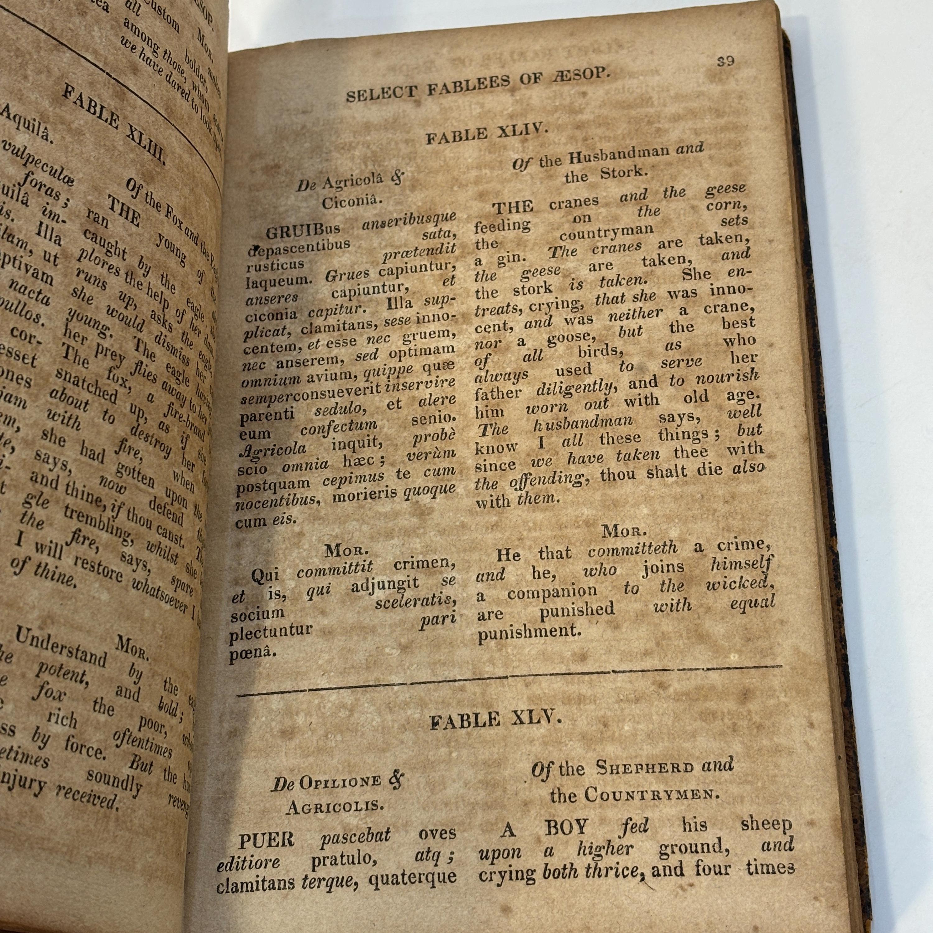 Fabulae Aesopi Selectae, or, Select Fables of Aesop: With an English Translation, More Literal Than Any Yet Extant, Designed for The Readier Instruction of Beginners in The Latin Tongue. — photograph 10.