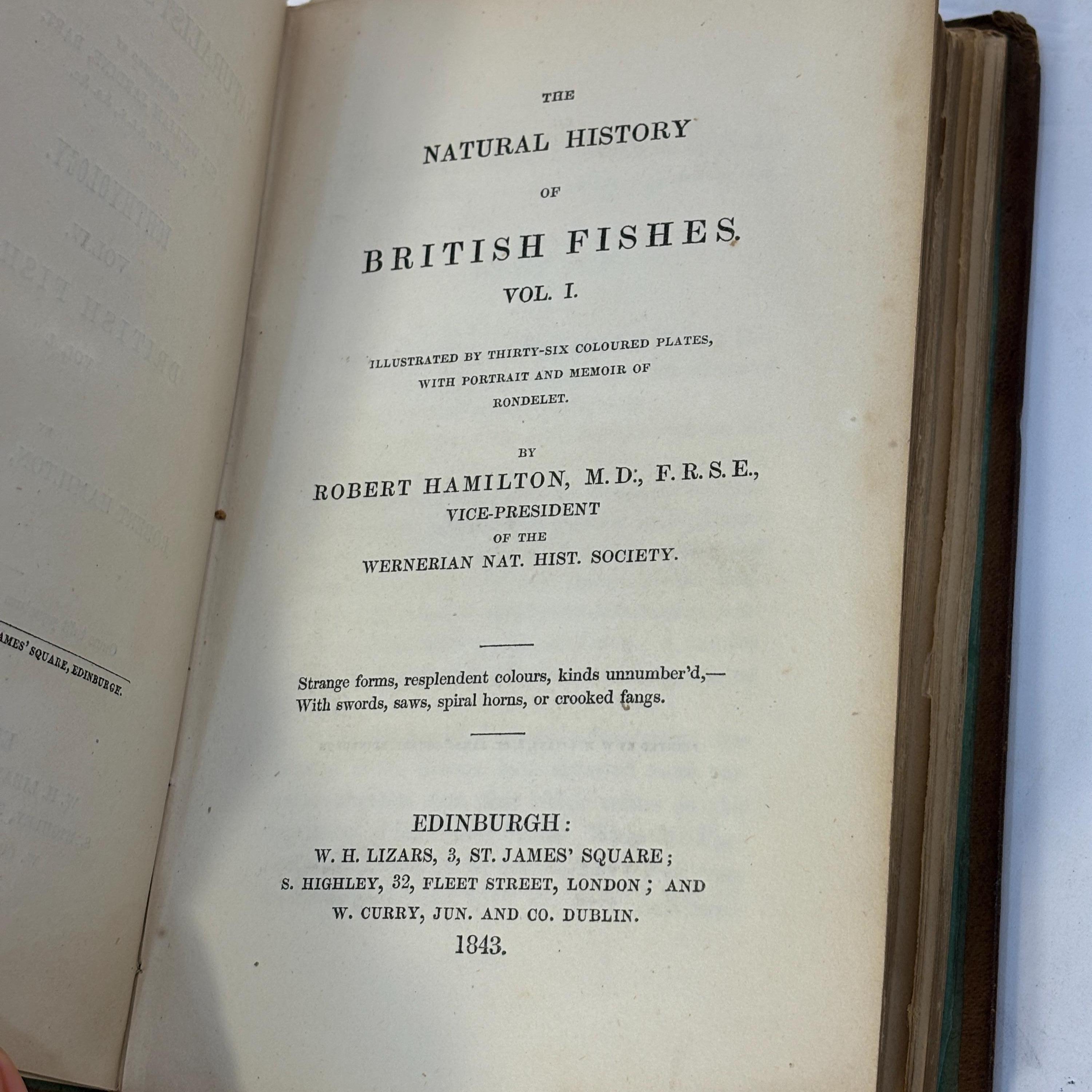 The Natural History of British Fishes Vol. I Illustrated by Thirty-Six Colored Plates, With Portrait and Memoir of Rondelet.The Naturalist's Library. Ichthyology Vol.IV. British Fishes Vol. I — photograph 10.