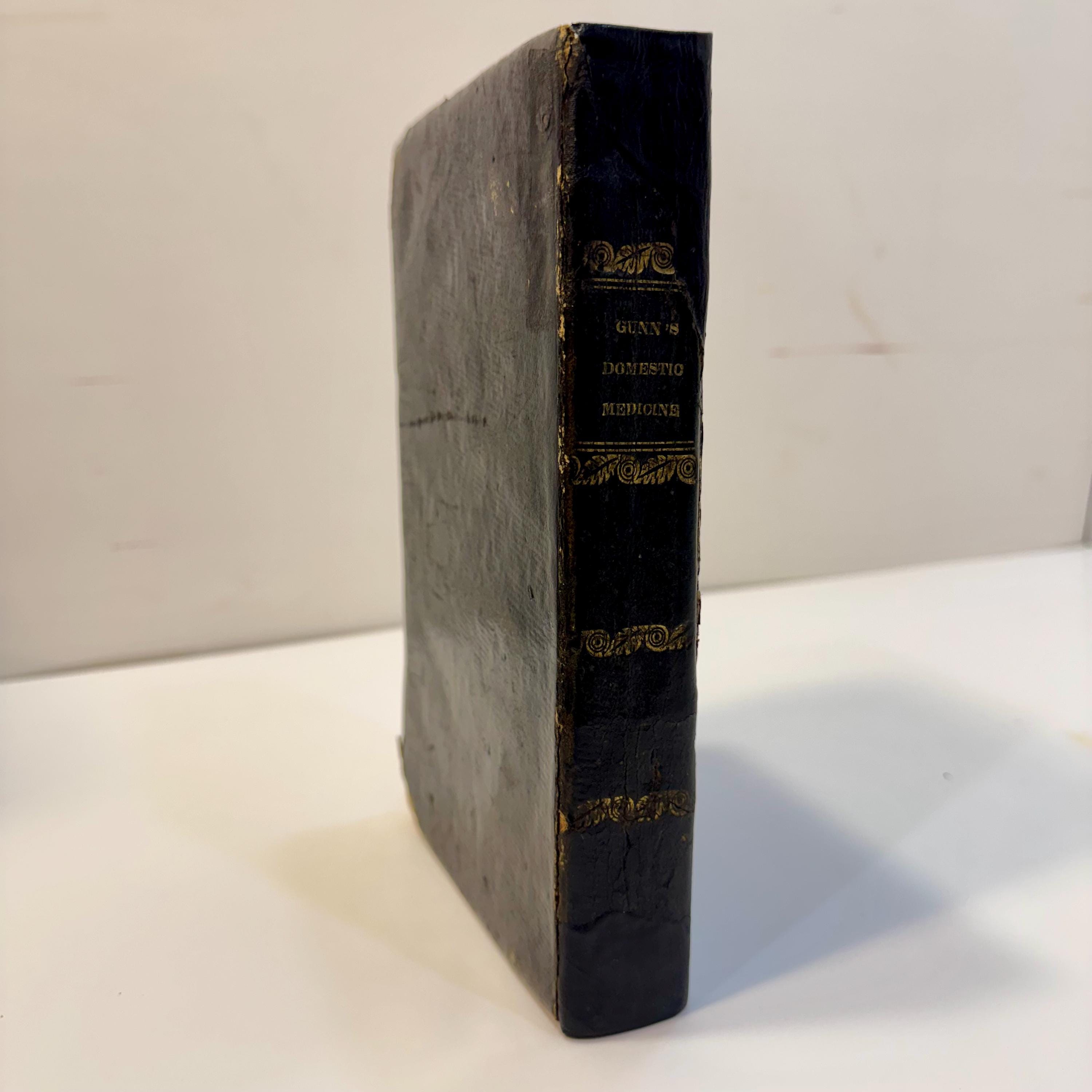 Gunn's Domestic Medicine, or Poor Man's Friend, 1830 | Early American Medical Guide — photograph 2.