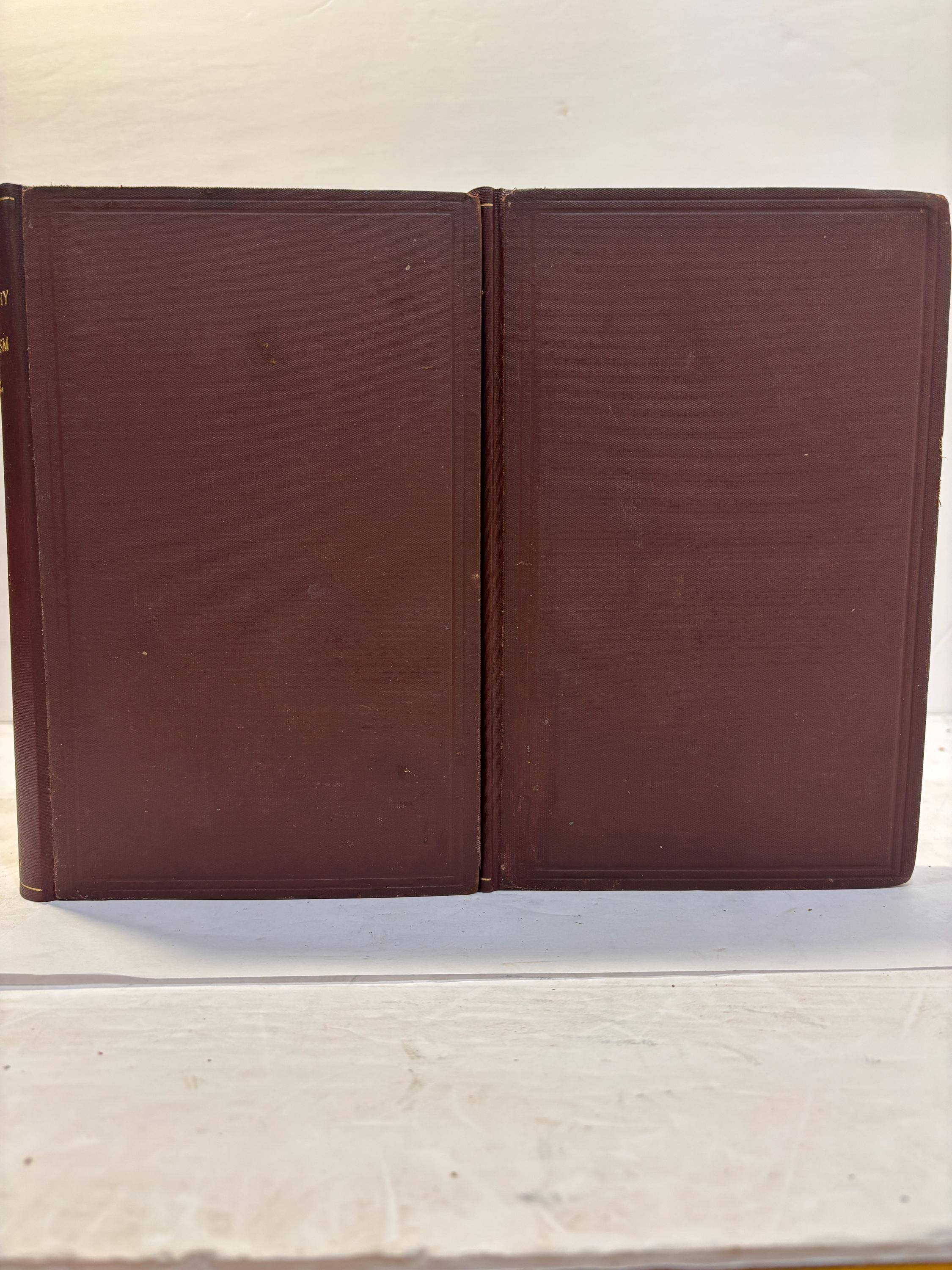 The Philosophy of Mysticism In Two Volumes. First Edition. — photograph 3.