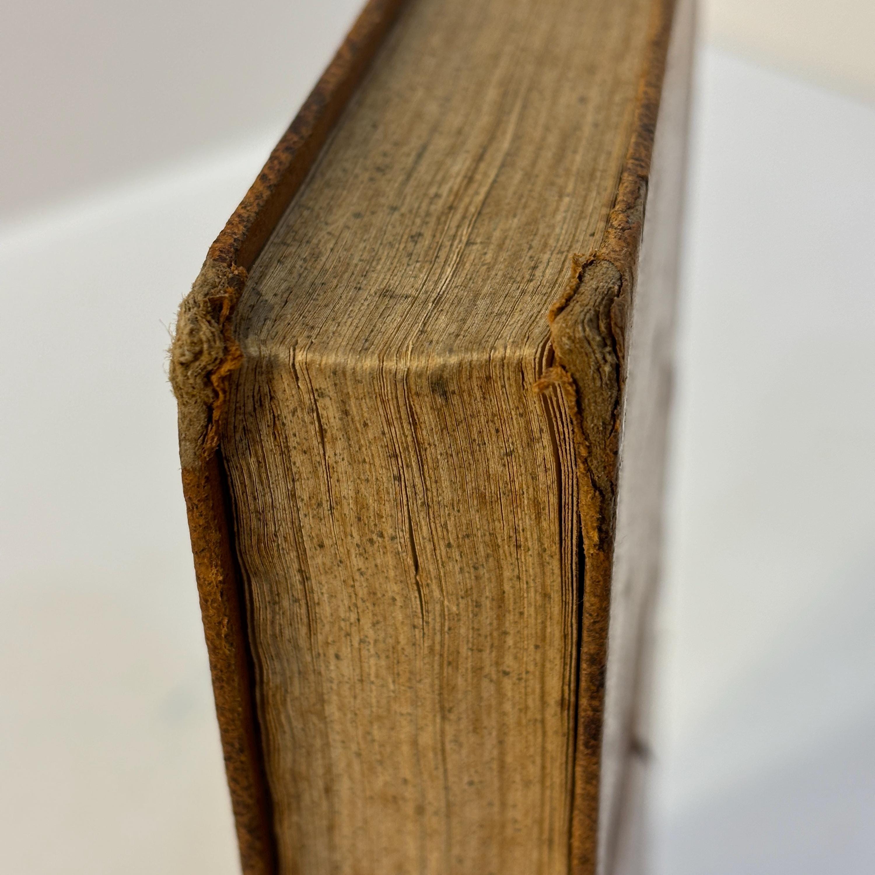 The Young Ladies' Class Book; A Selection of Lessons For Reading, in Prose and Verse. Twenty-Third Stereotype Edition — photograph 10.