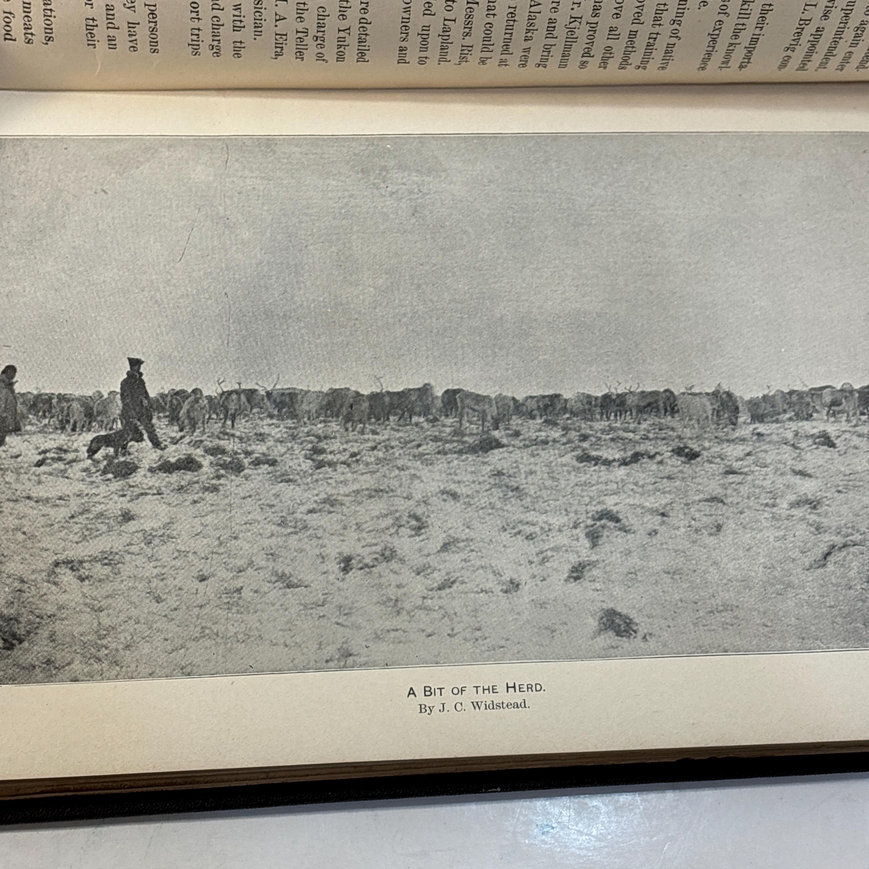 Report on Introduction of Domestic Reindeer Into Alaska, with Illustrations, 1897. 2nd Session, 55th Congress, Document No.30 — photograph 5.