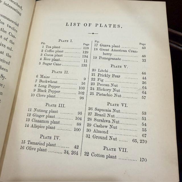 Profitable Plants; A Description of The Principal Articles of Vegetable Origin Used for Food, Clothing, Tanning, Dyeing, Building, Medicine, Perfumery, Etc. With Twenty Pages of Coloured Plates. — photograph 8.