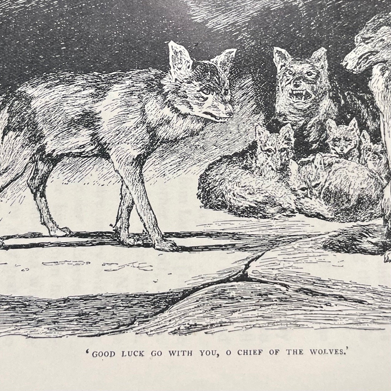 The Two Jungle Books, With Illustrations by J. Lockwood Kipling and W.H. Drake. Signed Binding by Sangorski & Sutcliffe — photograph 8.