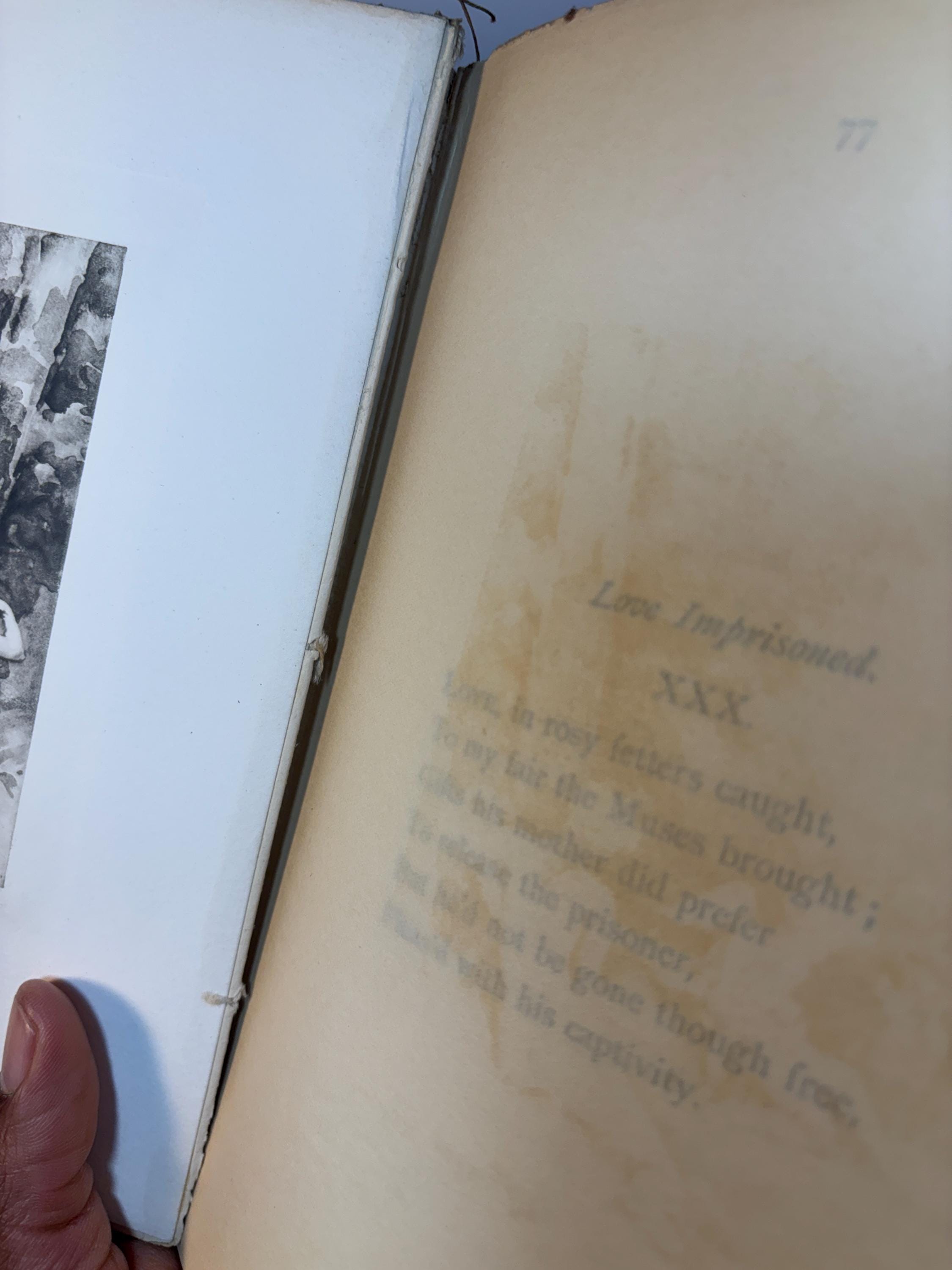 Anacreon: With Thomas Stanley's Translation… Illustrated by J.R. Weguelin — photograph 7.
