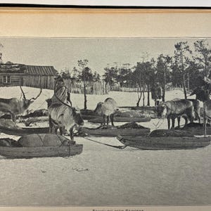 May include: A black and white vintage print titled Traveling with Reindeer, depicting several reindeer harnessed to wooden sleds in a snowy landscape. A person sits on one sled, while other reindeer stand nearby in front of a wooden building.