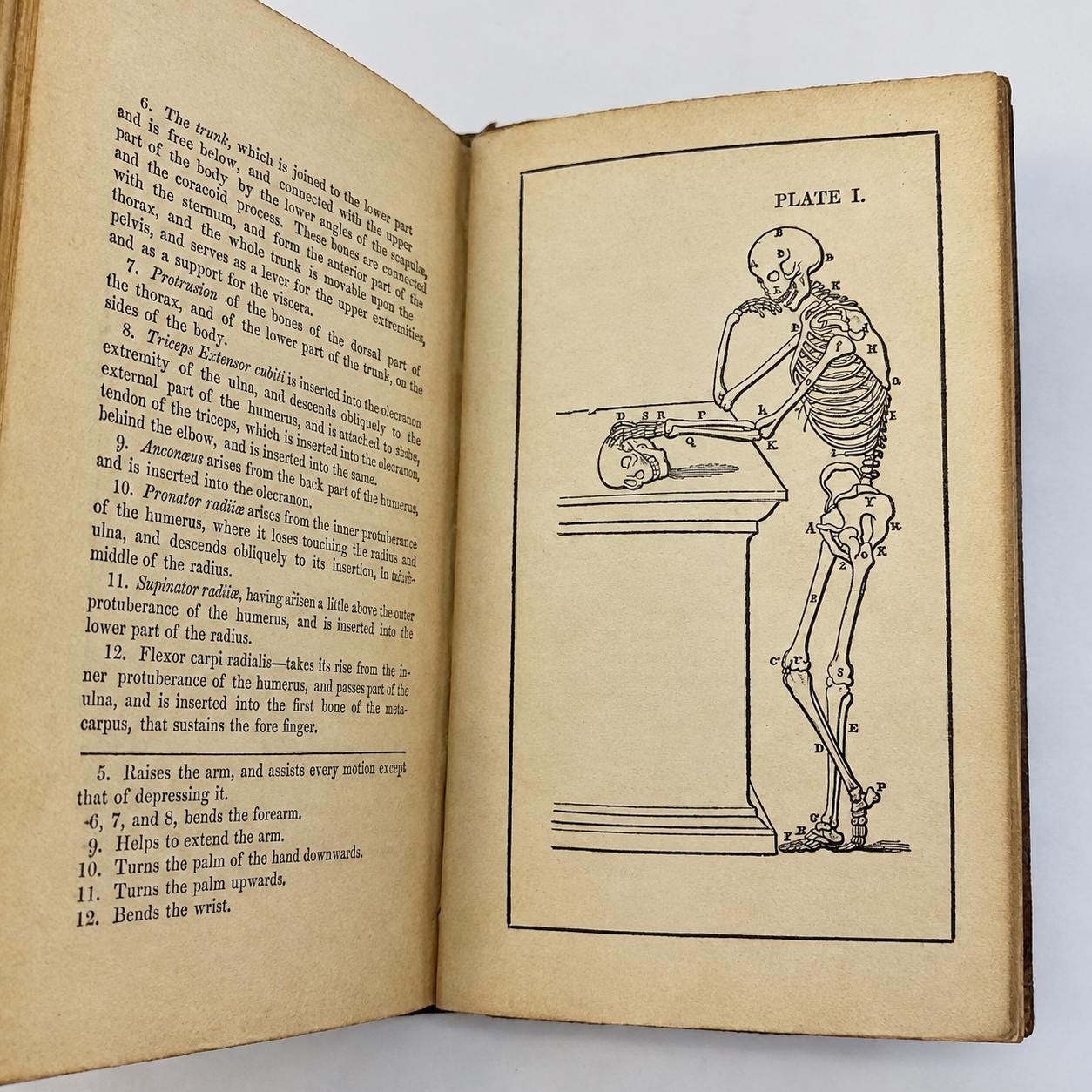 Complete Domestic Medicine; Or, A Treatise on the Prevention and Cure of Diseases, by Regimen and Simple Medicine. With Additions and Improvements Containing Treatises on Those Diseases Omitted by the Author, and on the New Discoveries in Medicine and Surgery; Also, Dr. Cullen's Characteristic Symptons of Diseases. To Which is Added The Compendium of Anatomy with Twelve Illustrations. — photograph 6.