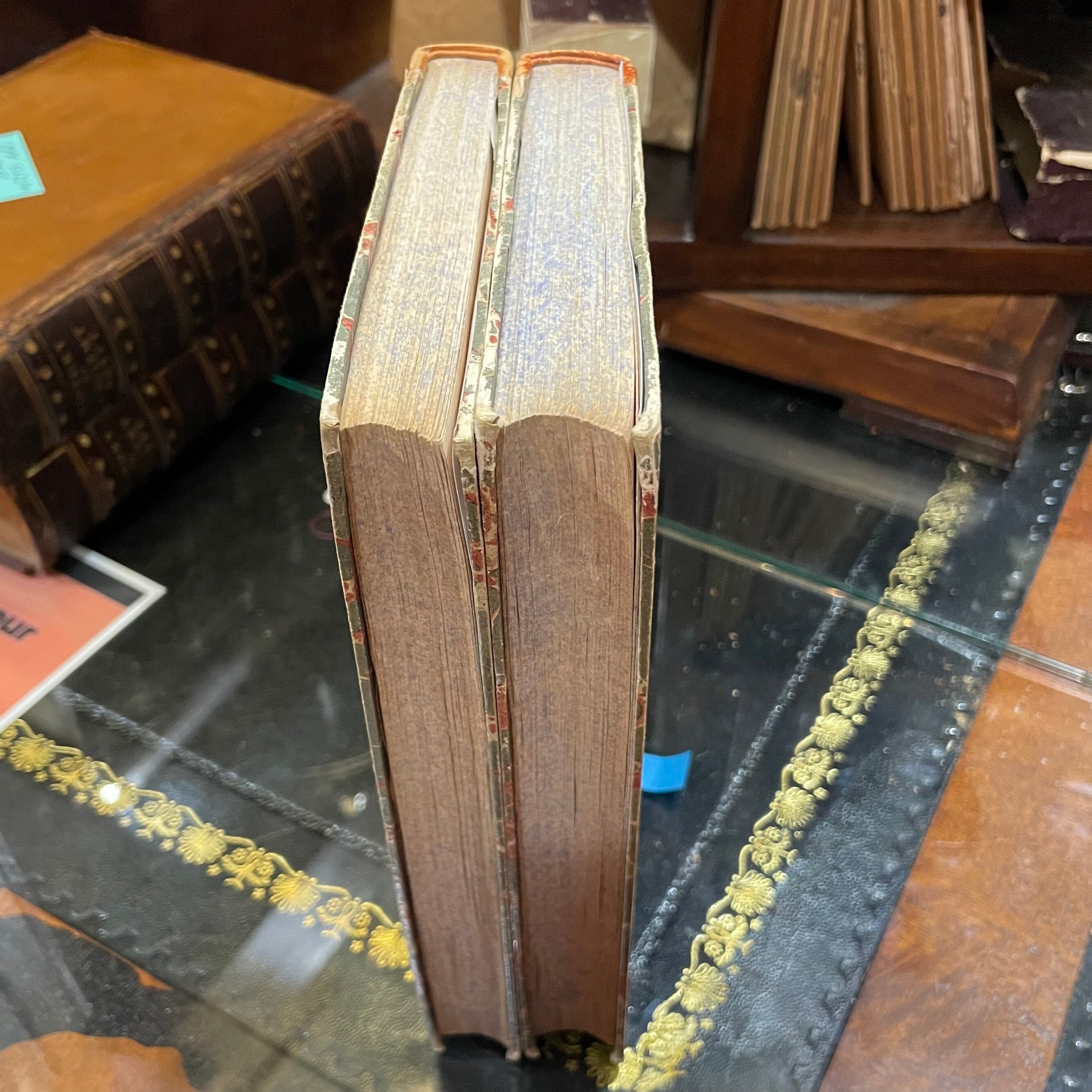 Viaggio Intorno al Globo alla California ed alle Isole Sandwich negli anni 1826, 1827, 1828 e 1829. GOOGLE TRANSLATION: Journey Around the Globe to California and the Sandwich Islands in the years 1826, 1827, 1828 and 1829. Translated from the French to Italian by Carlo Botta. — photograph 3.