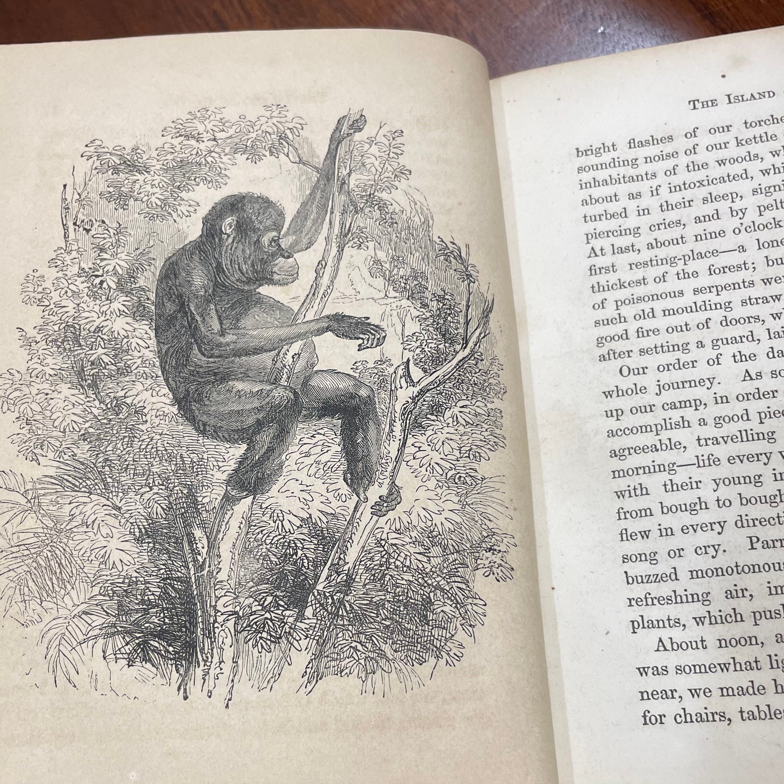 The Narratives of An Old Traveller; Containing The Perils and Hair-breadth Escapes From Shipwreck, Famine, Wild Beasts, Savages, etc., of Travellers in Every Part of The World. — photograph 9.