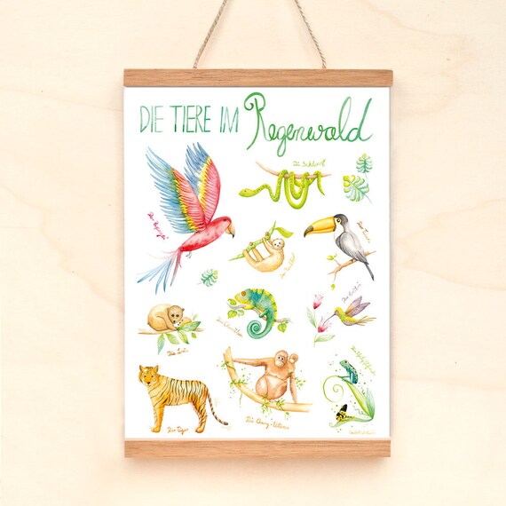 Rainforest Animals Nursery Decor Animal Nursery Prints Nursery Jungle Pictures