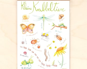 Insekten Poster fürs Kinderzimmer A3