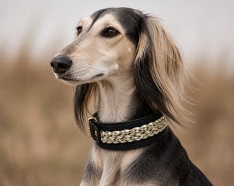 Luxurious greyhound collar, very soft, handmade, collar, Galgo, Greyhound, Borzoi, leather collar