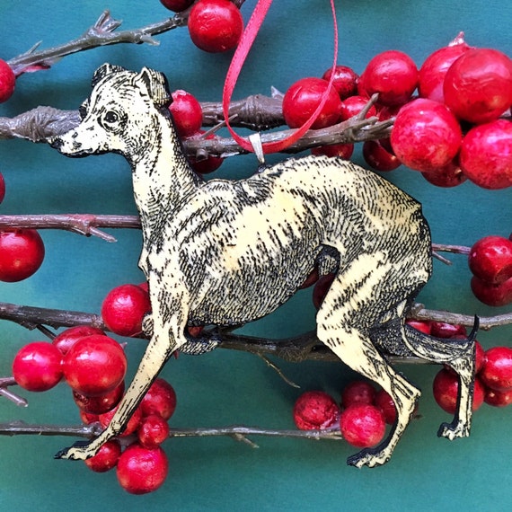 best collar for cocker spaniel