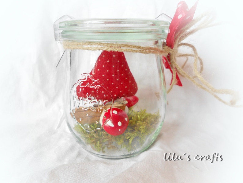 Happiness in a jar with mushroom image 3