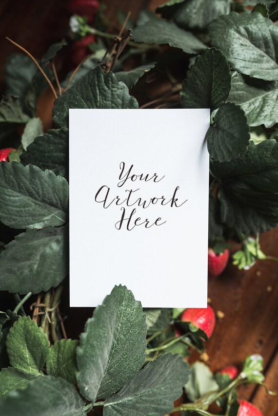 Stationery Mockup Bundle 5 Stock Photos 3 5x5 5x7 4x6 Etsy
