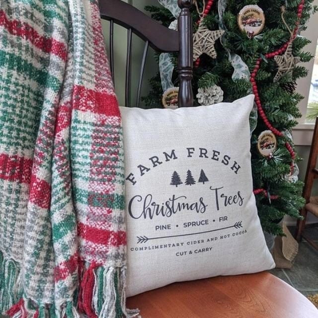 Farmhouse christmas throw pillows hotsell