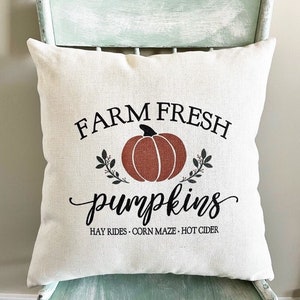 May include: A white throw pillow with the text "FARM FRESH pumpkins" in black lettering. A brown pumpkin with a green stem is centered above the text. The text "HAY RIDES - CORN MAZE - HOT CIDER" is below the pumpkin. The pillow is sitting on a light blue wooden chair.