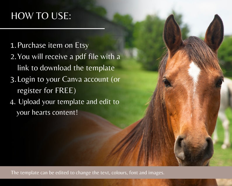 Equine Therapist Business Card Design Template Editable Horse Business