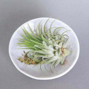 Small porcelain plate with flowers, unique image 3