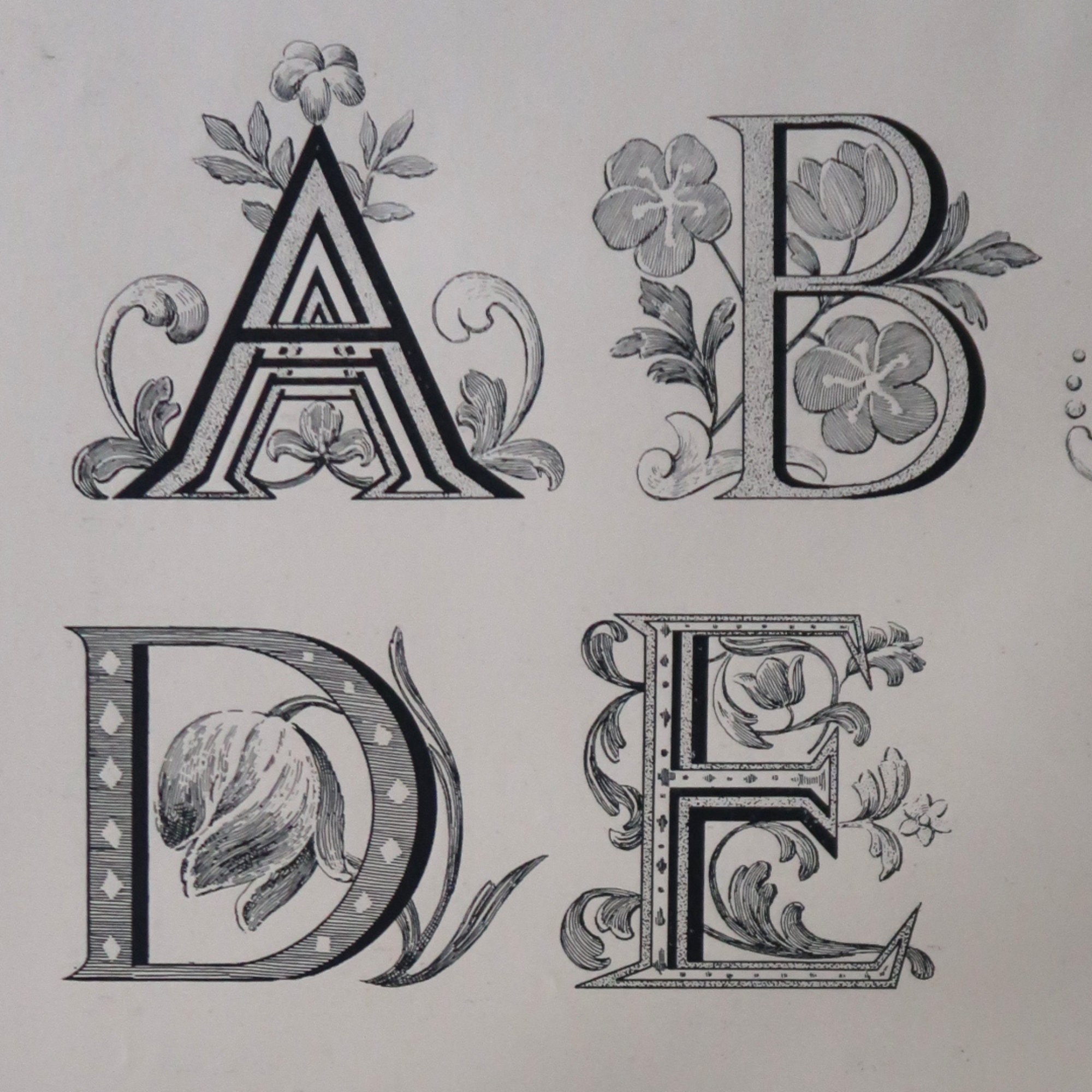 Genuine Antique Late 1800s 17thc Illuminated Letters Print From