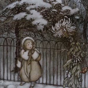 Arthur Rackham Vintage Print 2004 | "A Chrysanthemum..." (1906) | Home Decor | Wall Art | Art Print | Illustration | Wall Decor