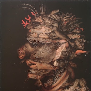 Giuseppe Arcimboldo Vintage Print 1992 | &quot;Water&quot; (1566) | Home Decor | Wall Art | Art Print | Mannerism | Wall Decor